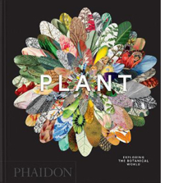 Plant. Exploring the botanical world. 2026. Ediz. compact