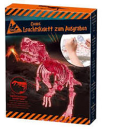 Scheletro di dinosauro luminoso da scavare