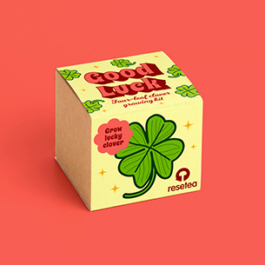 Good Luck. Four-leaf clover growing kit