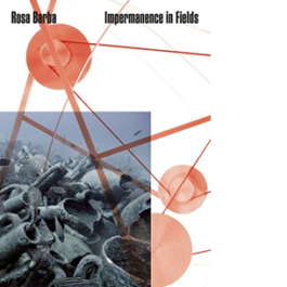 Rosa Barba. Impermanence in Fields