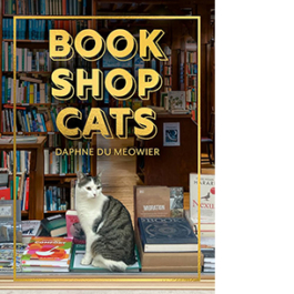 Bookshop Cats