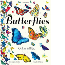 Butterflies Colour in Flight