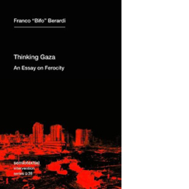 Thinking Gaza. An Essay on Ferocity