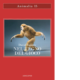 Nel regno del gioco