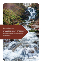 L'anarchia del torrente. Piccoli movimenti sul lato