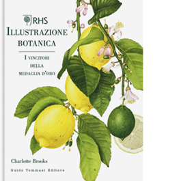 Illustrazione botanica