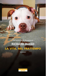 La vita, nel frattempo